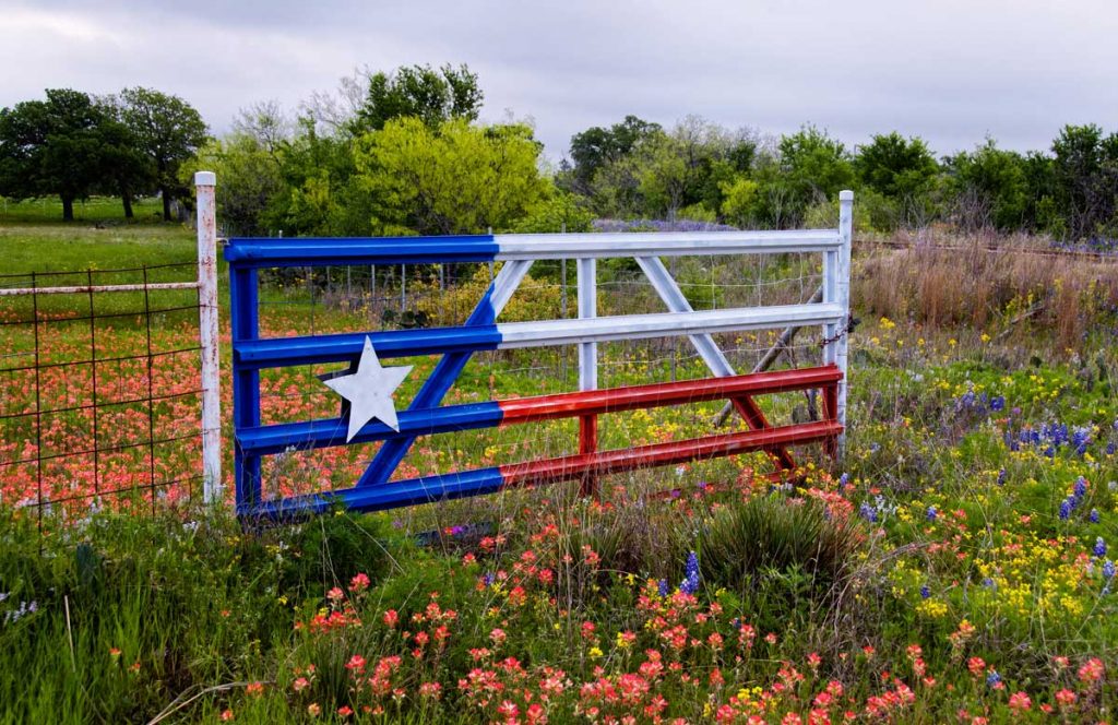 texas gate