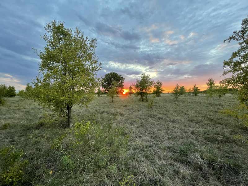 Texas Hunting Season 2023 Texas Hill Country